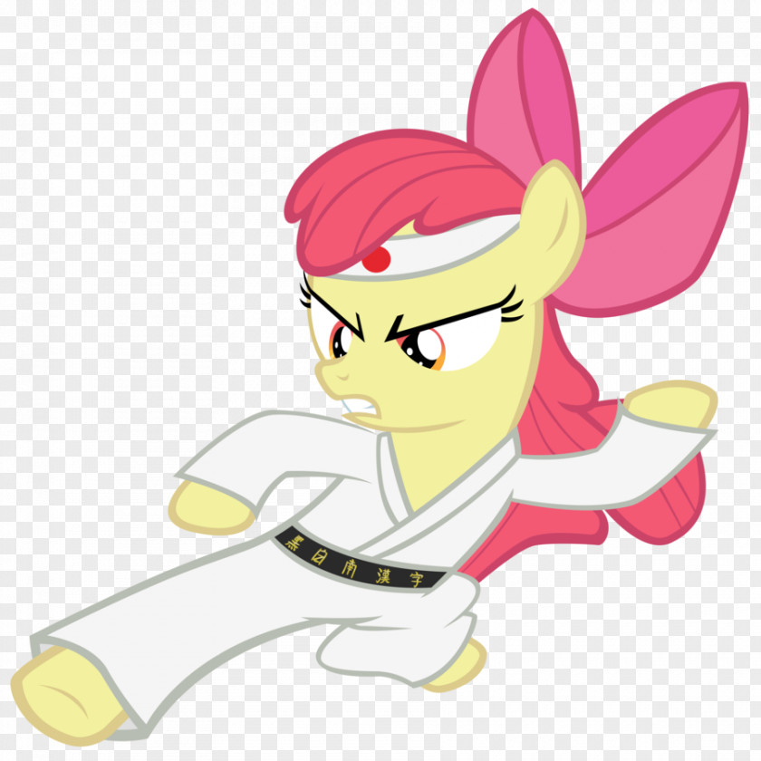 Karate Pony Apple Bloom Rainbow Dash Martial Arts PNG