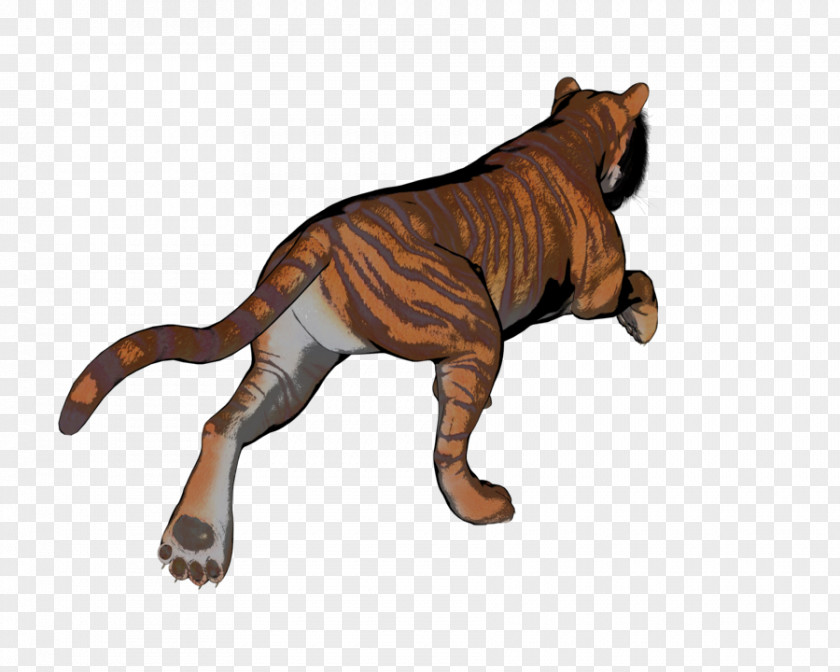 Tiger Lion Cat Terrestrial Animal Fauna PNG