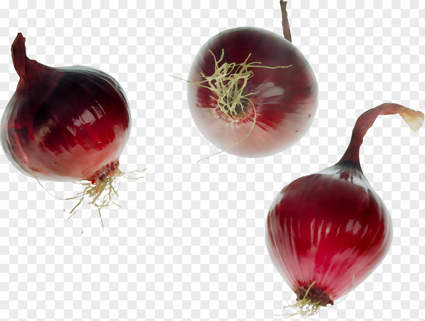 Yellow Onion Shallots Beetroots Food Red PNG