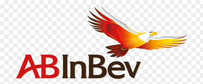 Beer Anheuser-Busch InBev Logo Nederland N.V. Brewery PNG
