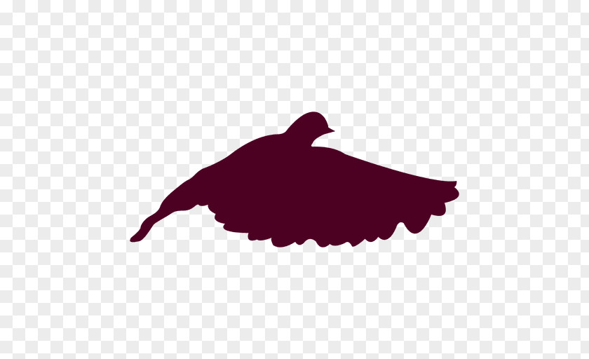 Bird Flight Silhouette Dove PNG