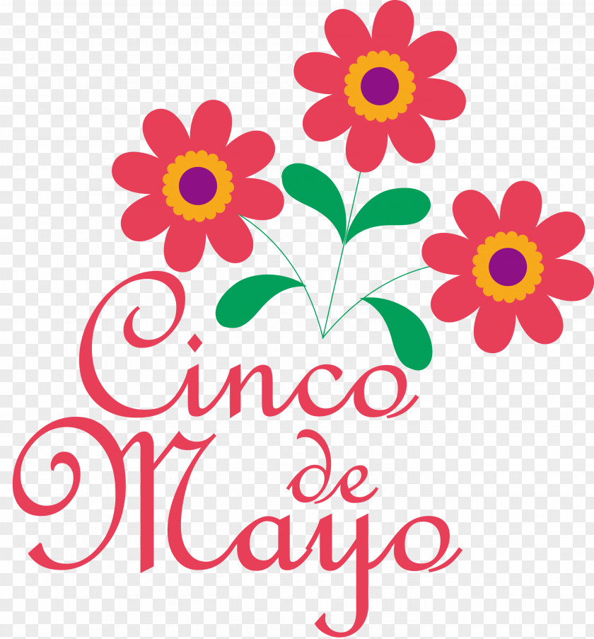 Cinco De Mayo Fifth Of May PNG