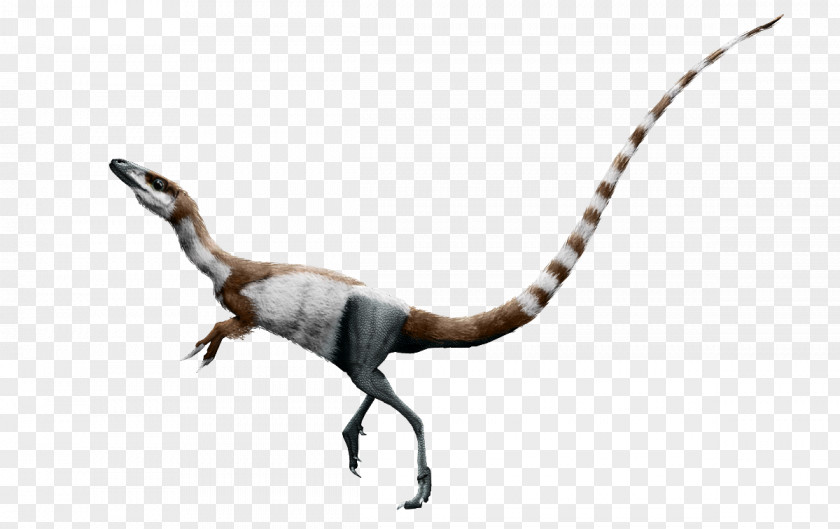 Color Paintings Sinosauropteryx Daspletosaurus Bird Pteranodon Dinosaur PNG