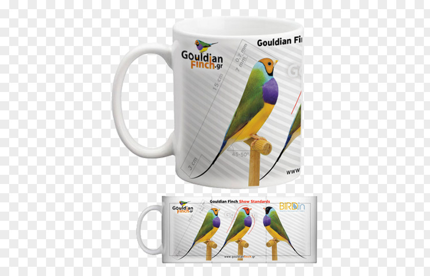 Mug Parakeet Macaw PNG