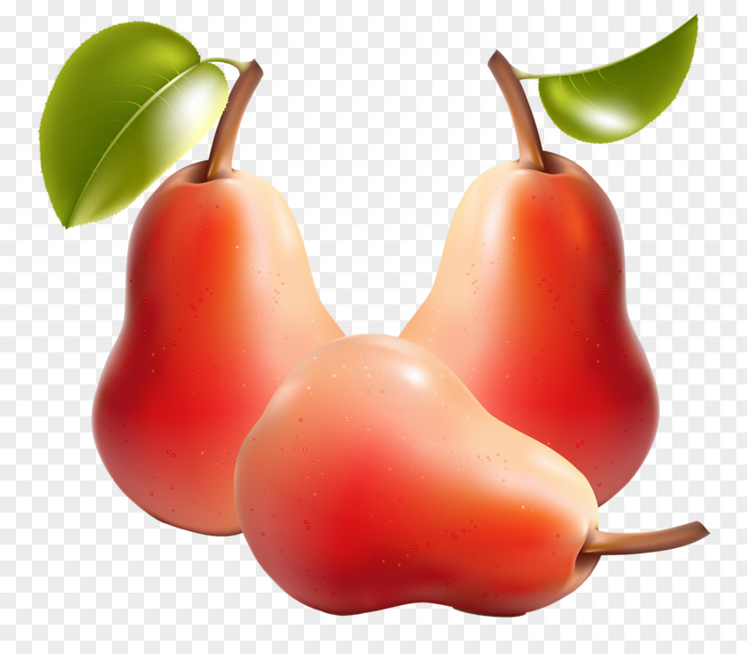 Red Pear Fruit Vegetable Illustration PNG