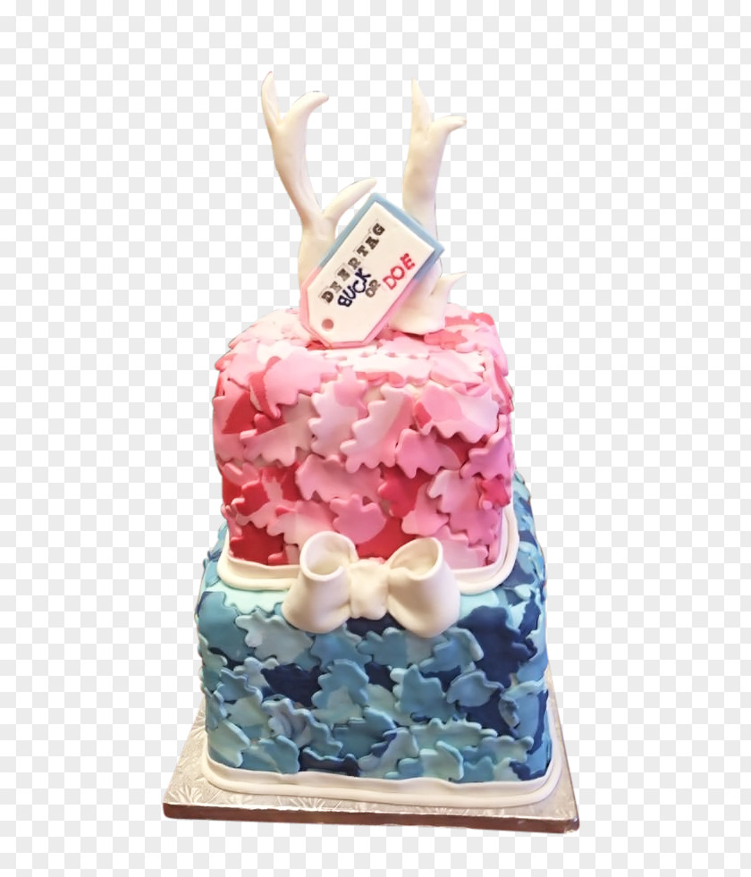 Cake Gender Reveal Birthday Baby Shower PNG