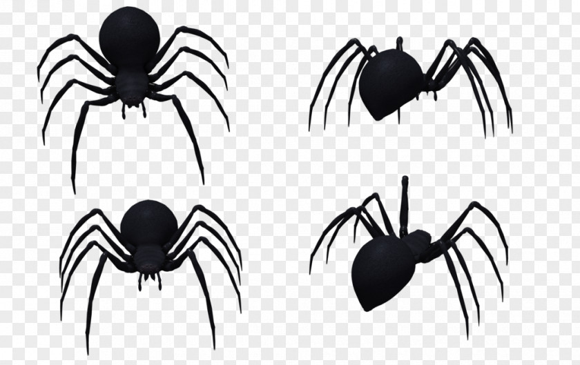 Spider Insects & Spiders Western Black Widow Southern Image PNG