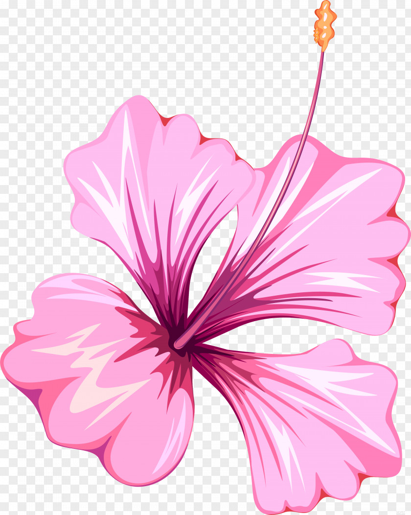 50 Flower Mallows Clip Art PNG