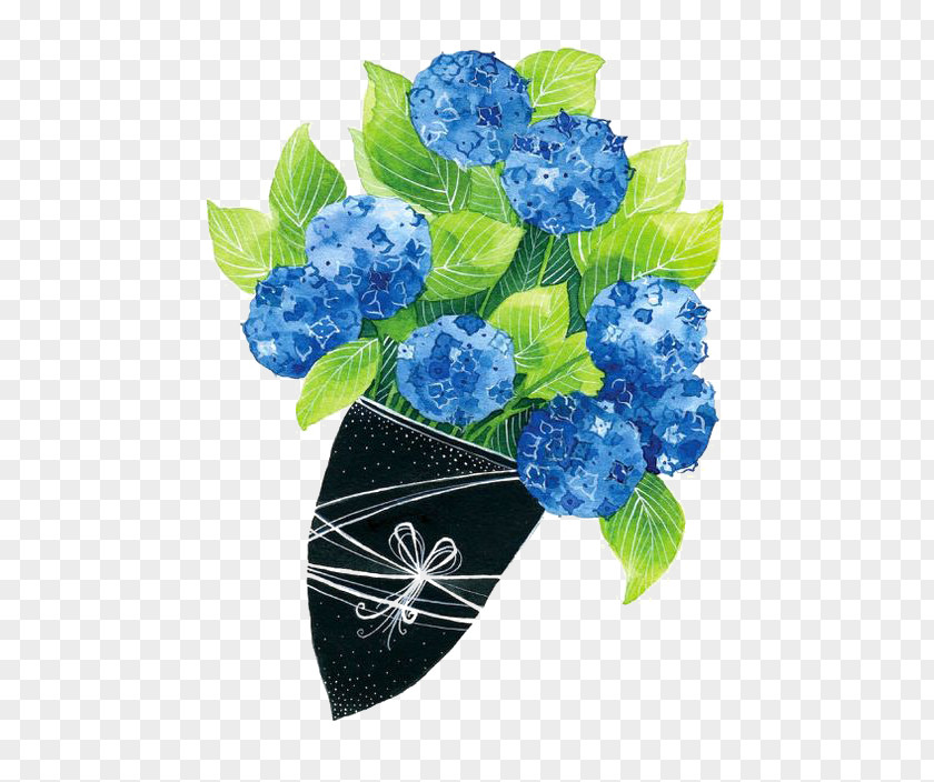 Bouquet Of Flowers French Hydrangea Flower Illustration PNG