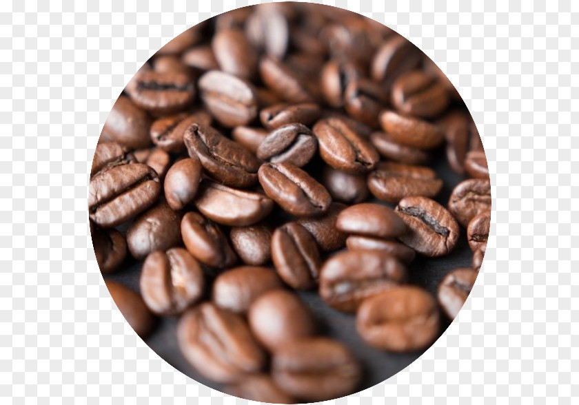 Coffee Single-origin Espresso Cafe Bean PNG