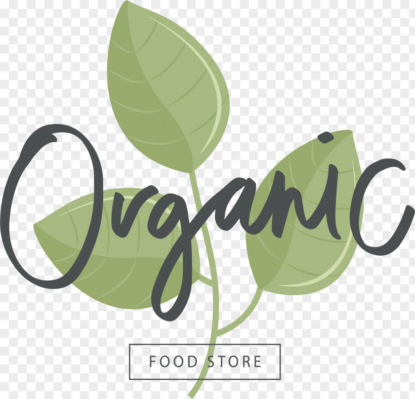 Green Leaf Title Box Organic Food Honey Certification PNG