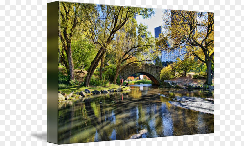 Park Bow Bridge Gapstow State PNG