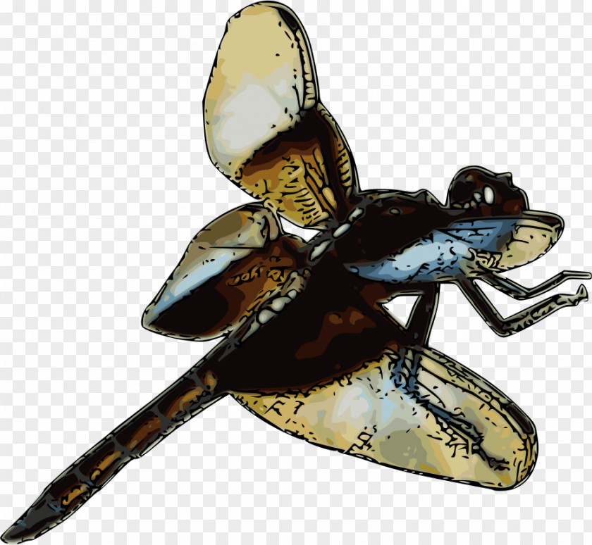 Rambo Insect Dragonfly Libellula Damselfly Clip Art PNG