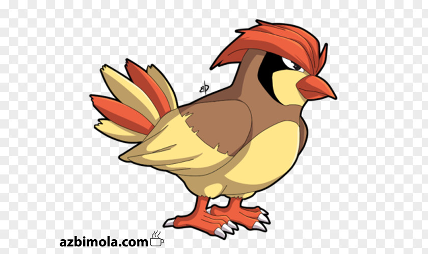 Raticate Spearow Hairstyle Pikachu Pidgeot PNG