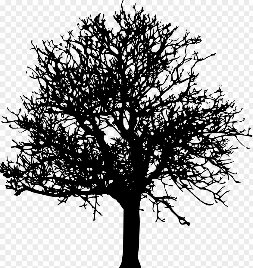 Tree Transparent Desktop Wallpaper Clip Art PNG