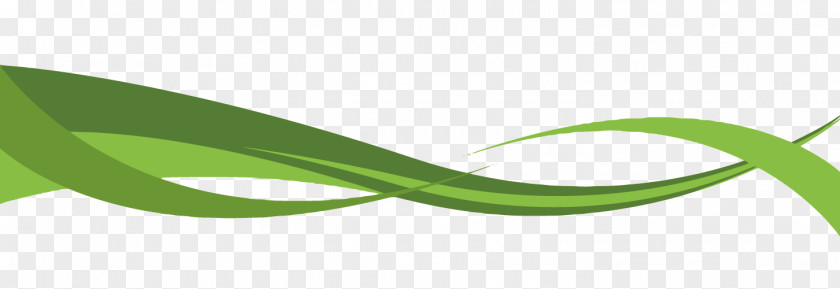 Vector Green Curve Logo Brand Font PNG