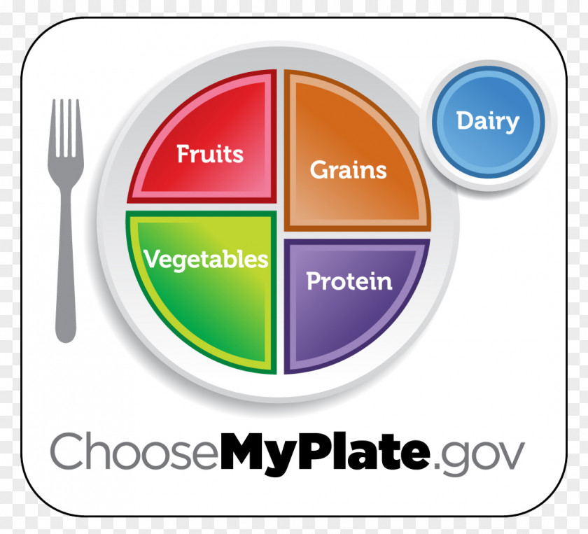 Healthy Meal ChooseMyPlate Food Group Diet MyPyramid PNG