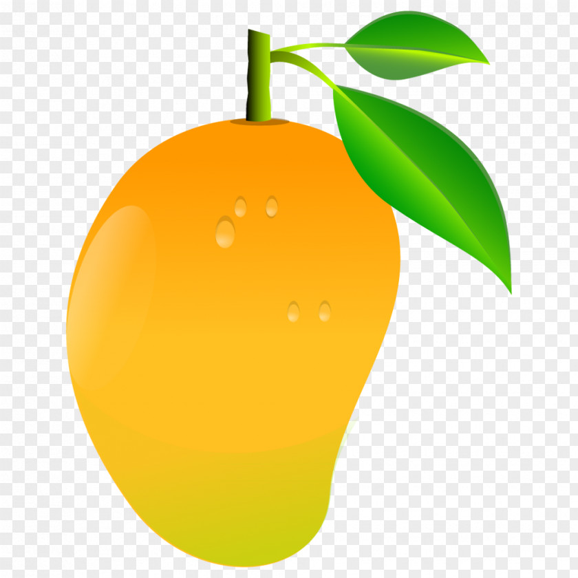 Mango Image Clip Art PNG