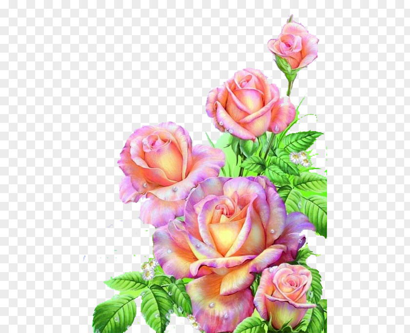 Pink Rose Painting Flower Floral Design Art PNG