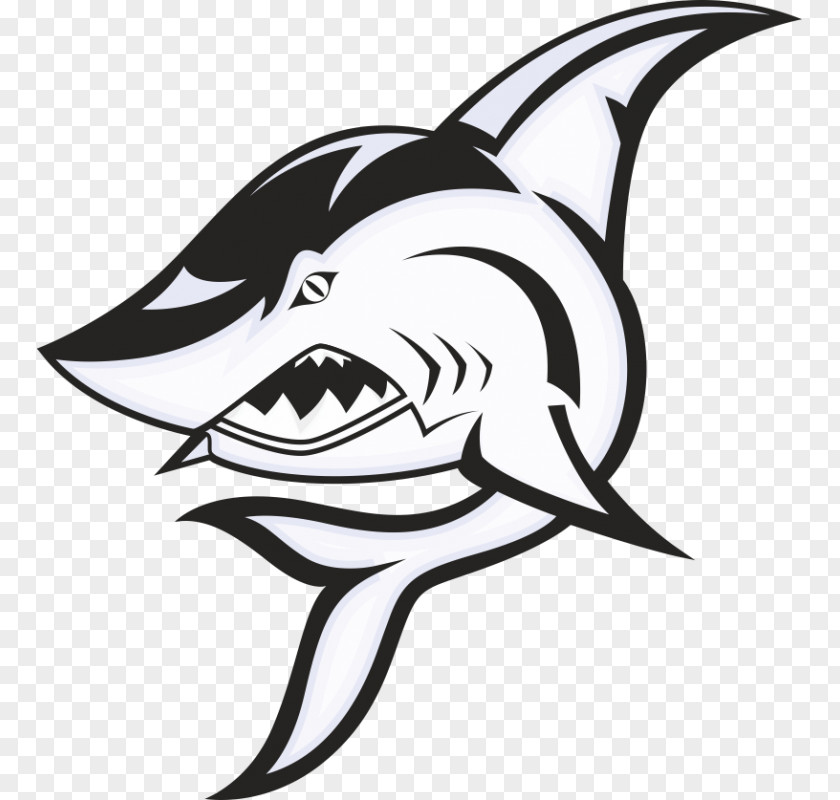 Shark Drawing Clip Art PNG