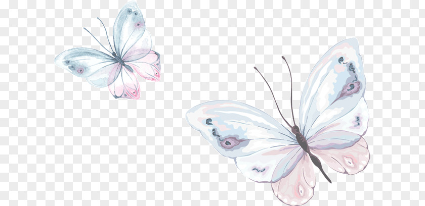 Butterfly Watercolor Painting PNG