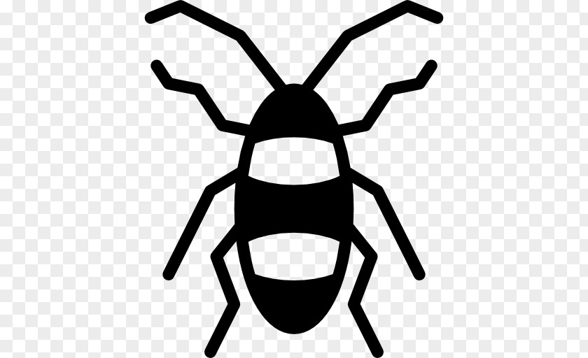 Cockroach Insect Clip Art PNG