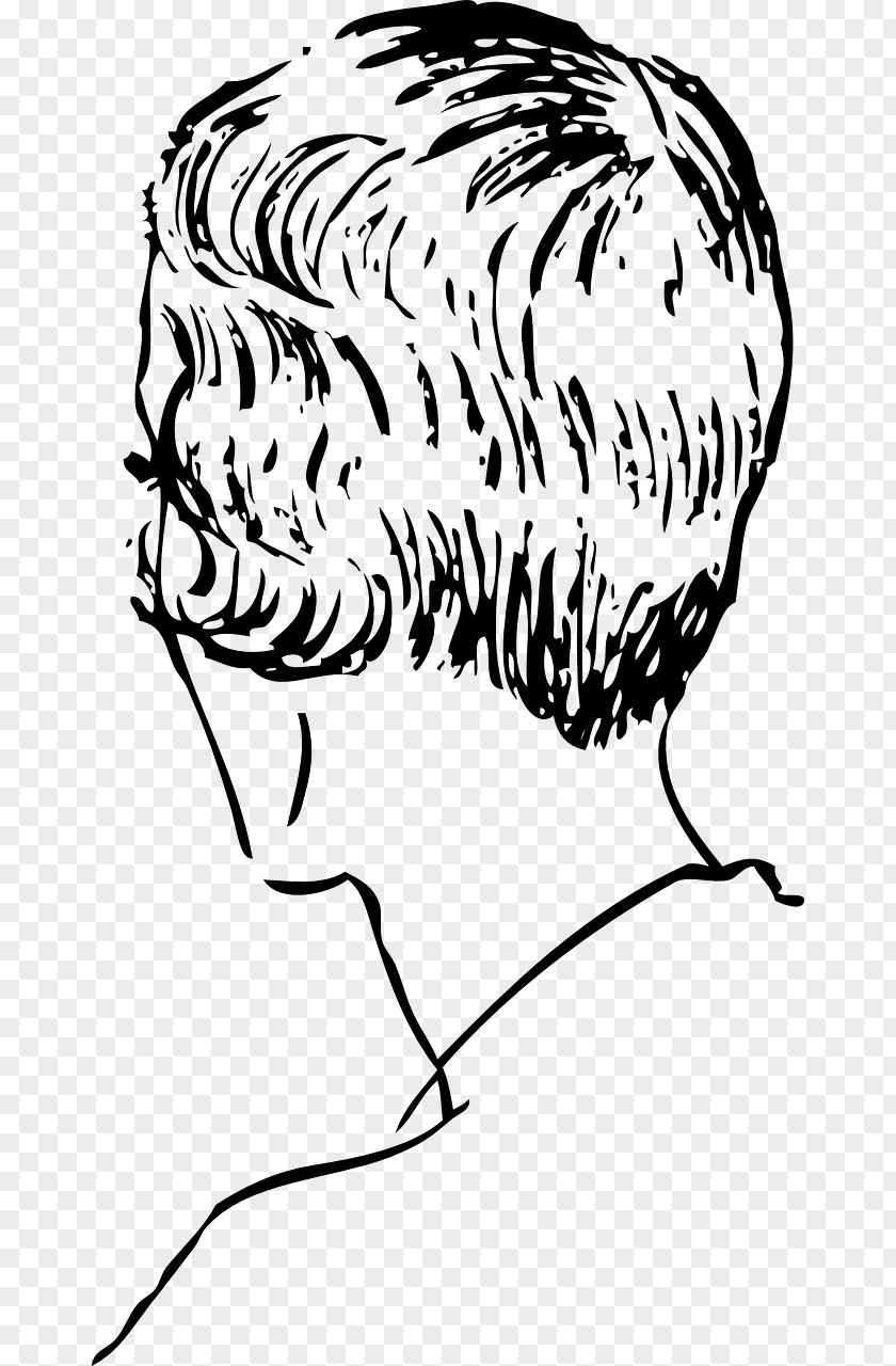 Haircut Comb Hairstyle Clip Art PNG