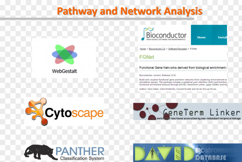 Heatmap Rna-seq Web Page Logo Organization PNG