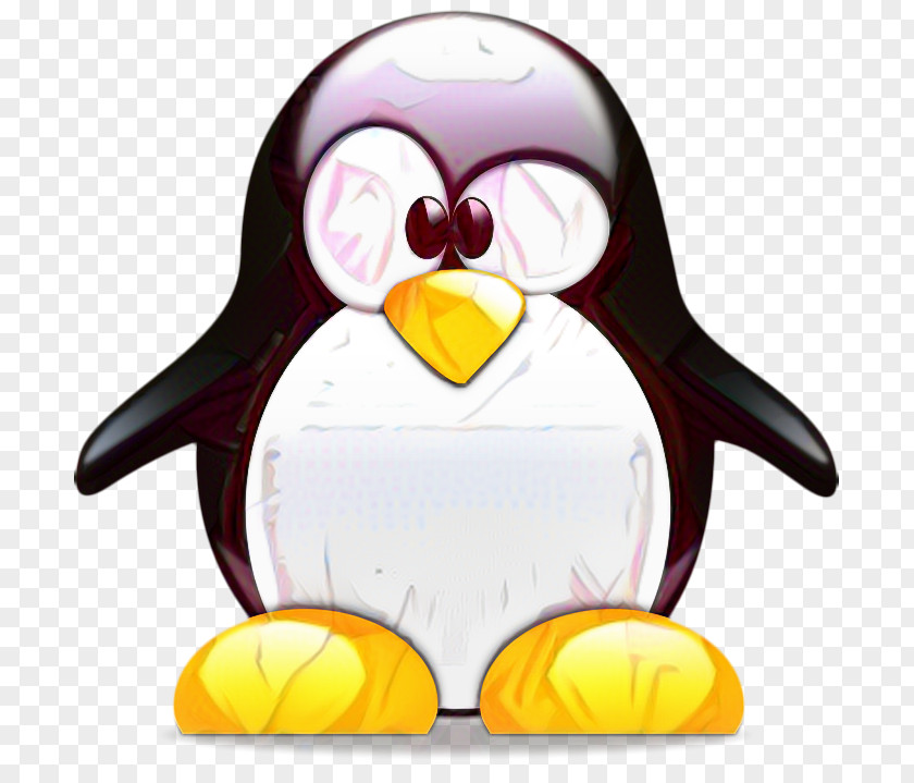 King Penguin Bird Cartoon PNG