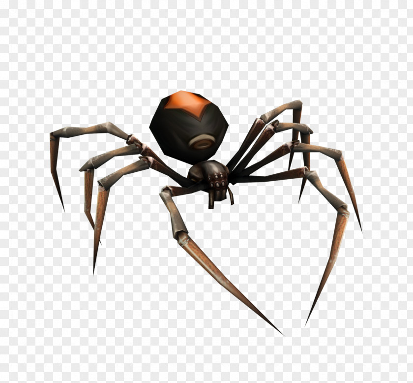 Black Widow Spider Chelyabinsk Southern Insect Acari PNG