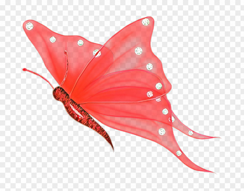 Butterfly Clip Art Image Insect PNG
