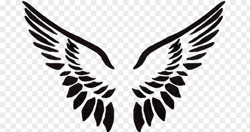 Emblem Symbol Angel Cartoon PNG