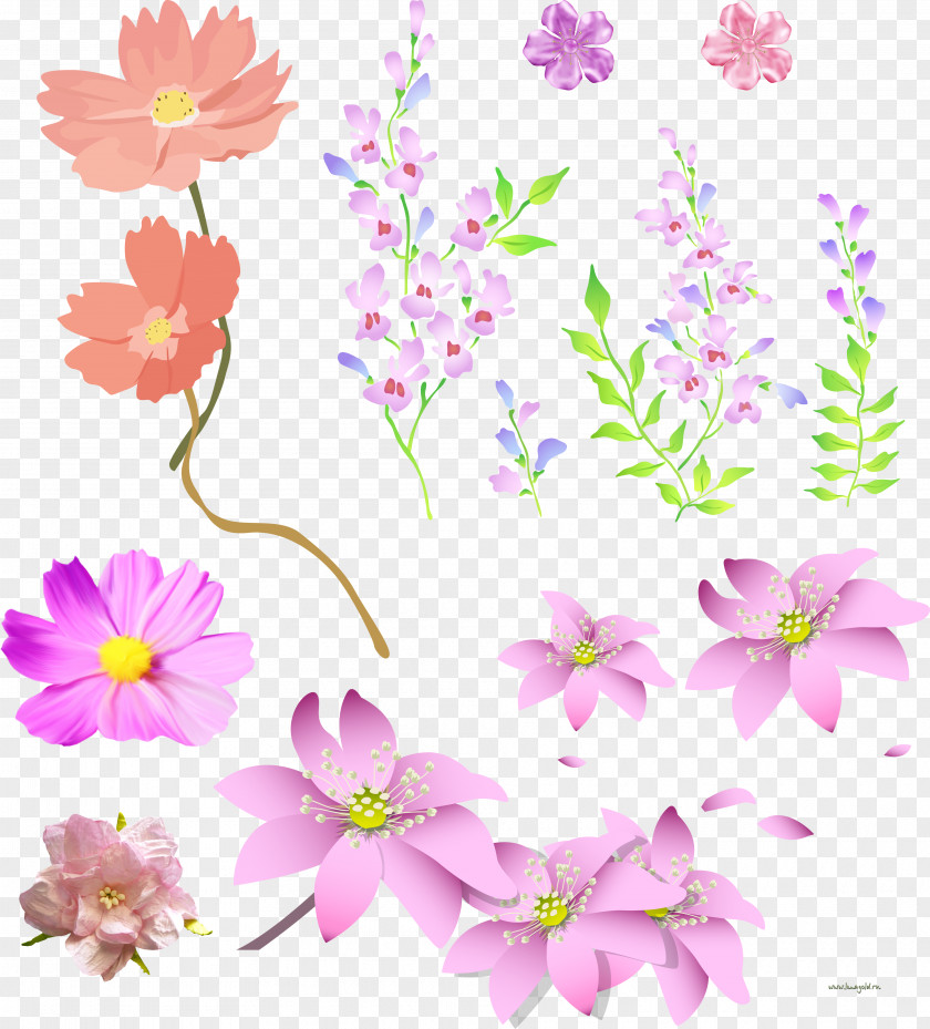 Floral Butterfly Pink PNG