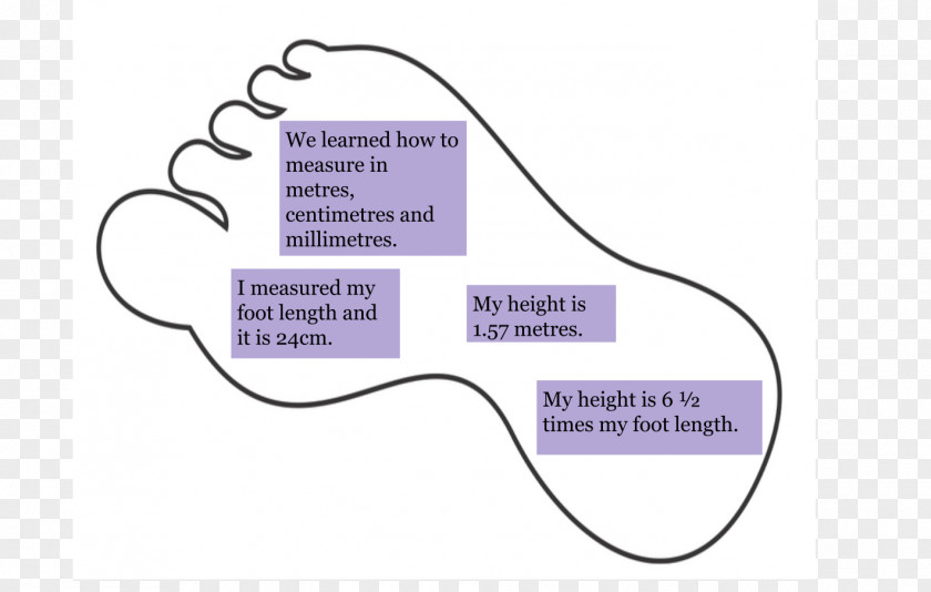 Height Measurement Brand Line Angle Diagram PNG