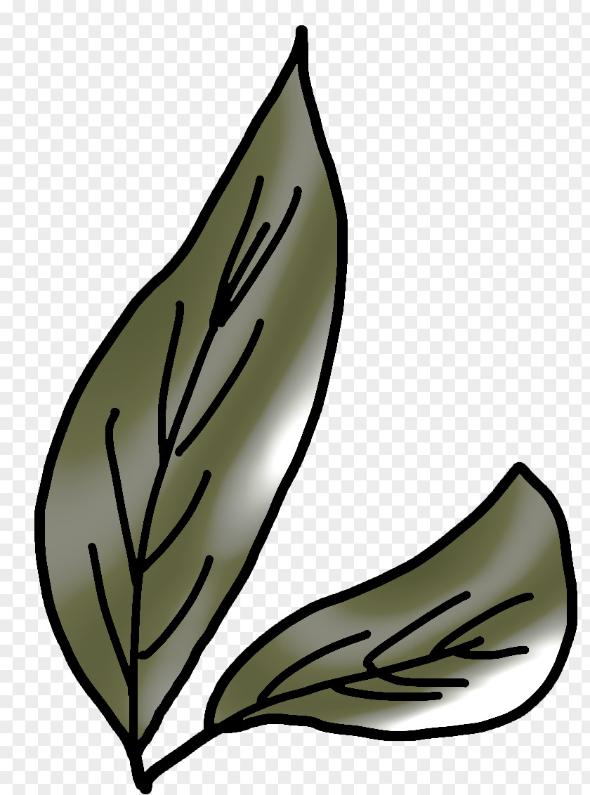Leaves Leaf Cartoon Branch Clip Art PNG