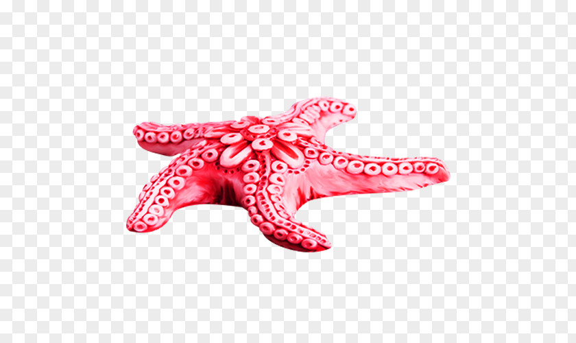 Pink Starfish Clip Art PNG
