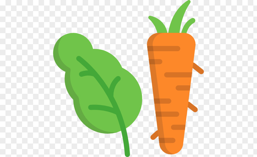 Veg Veggie Burger Organic Food Vegetable Carrot PNG