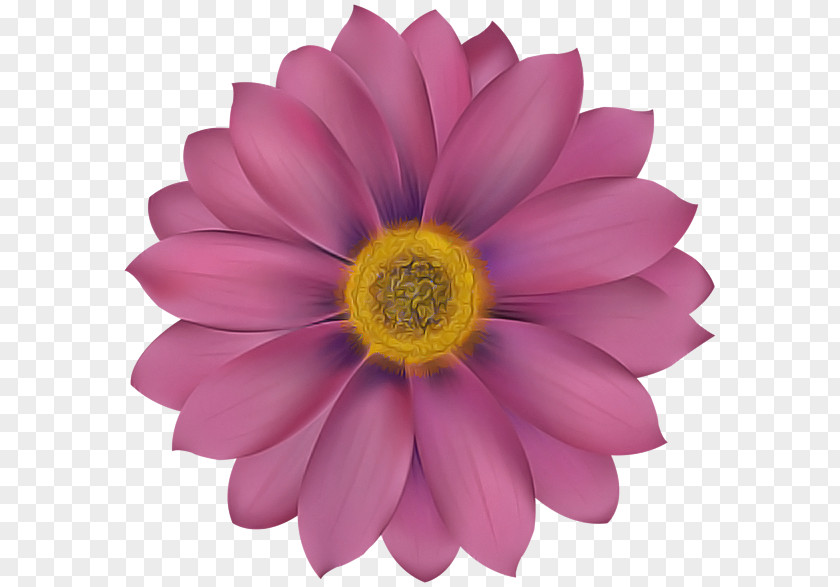 Artificial Flower PNG