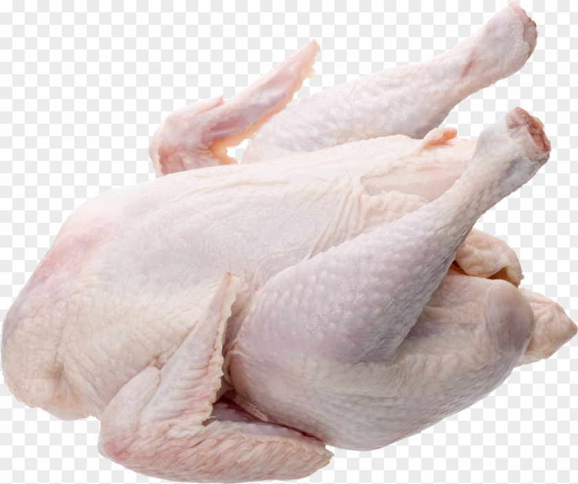 Chicken Kosher Foods Meat Broiler Poultry PNG