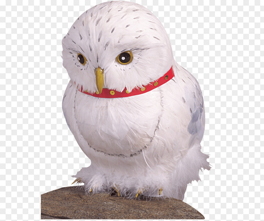 Harry Potter Hedwig The Wizarding World Of Rubeus Hagrid Costume PNG