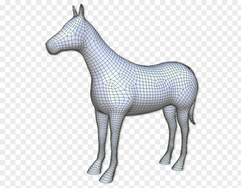 Horse 3D Computer Graphics Polygon Mesh Mule Cinema 4D PNG