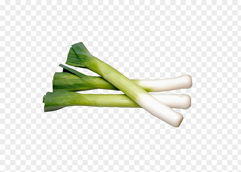 Onion Vichyssoise Leek Organic Food Vegetable PNG