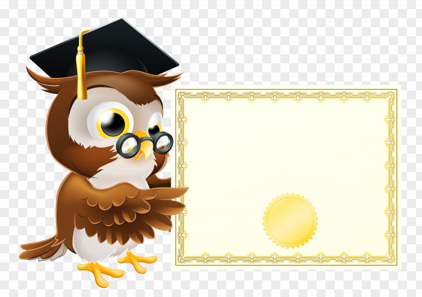 Owl With School Diploma Clipart Picture Clip Art PNG