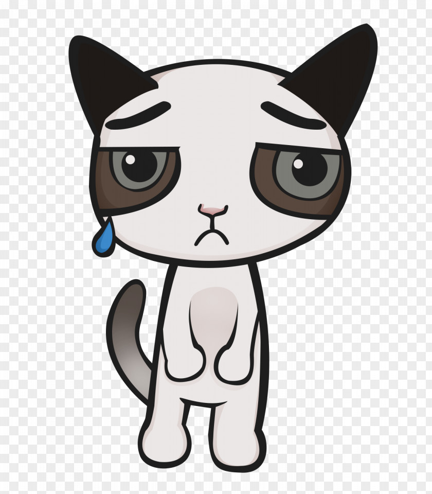 Sad Grumpy Cat Kitten Food Clip Art PNG