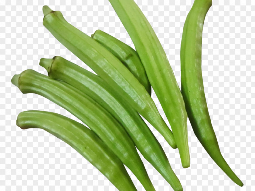 Vegetable Okra Clip Art Gumbo PNG