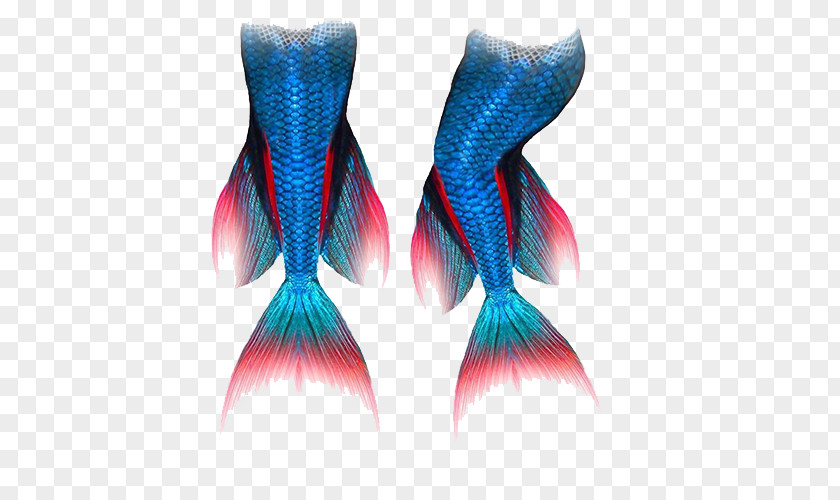 Blue Mermaid Tail PNG