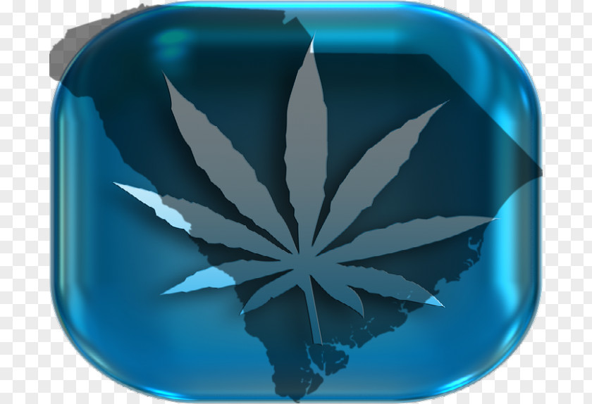 Cannabis Medical Hacky Sack Flying Discs Toy PNG
