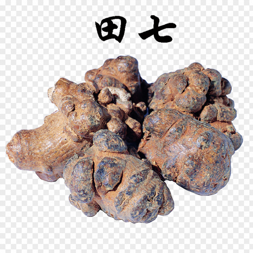 Herbs Of Panax Notoginseng Chinese Herbology Food Blood PNG