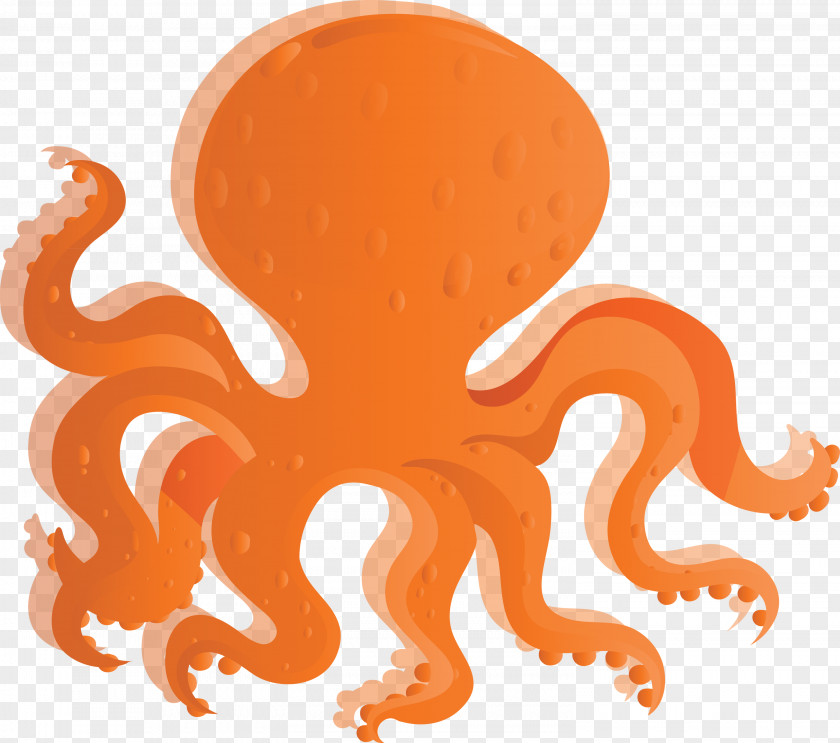 Orange PNG