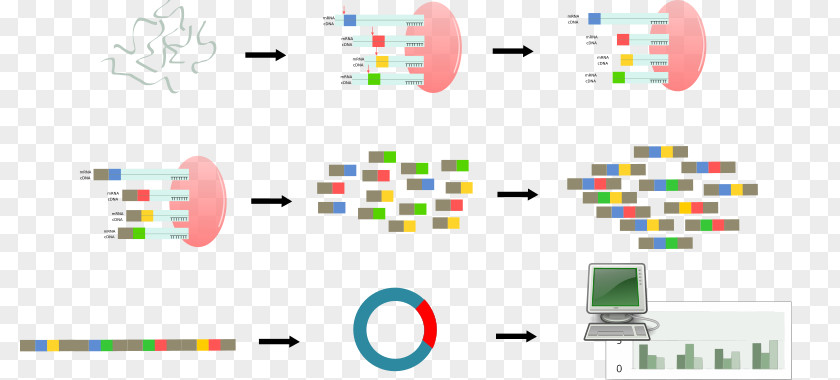 Serial Cliparts Analysis Of Gene Expression DNA Microarray Clip Art PNG